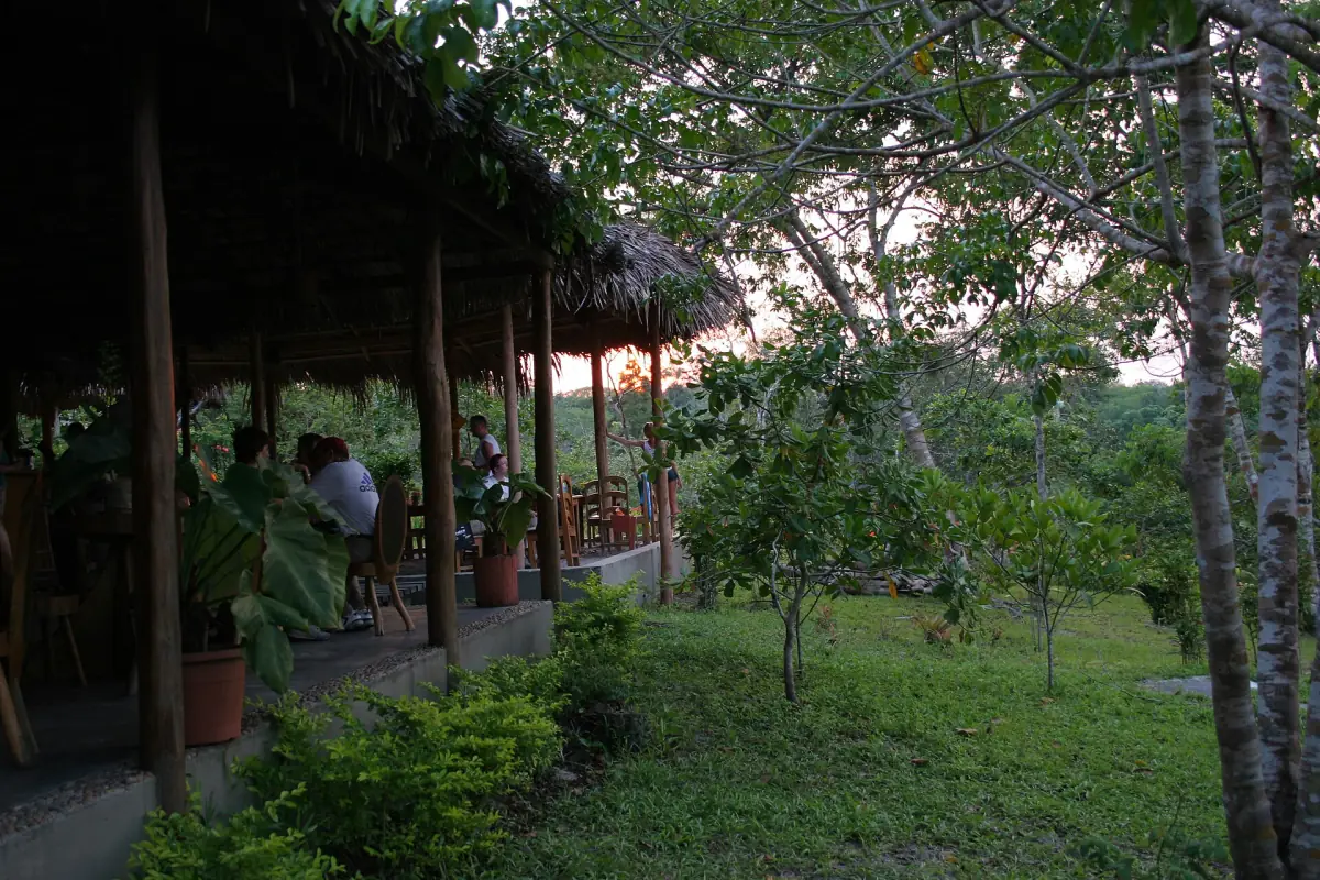 A bar in a jungle lodge near Manaus