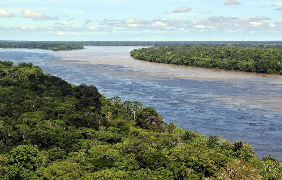 The Amazon river and forest from a hill