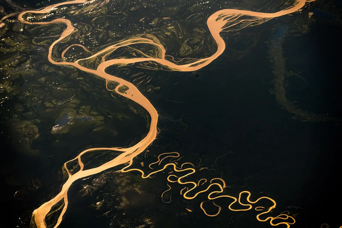 Meanders of the Amazon from the air