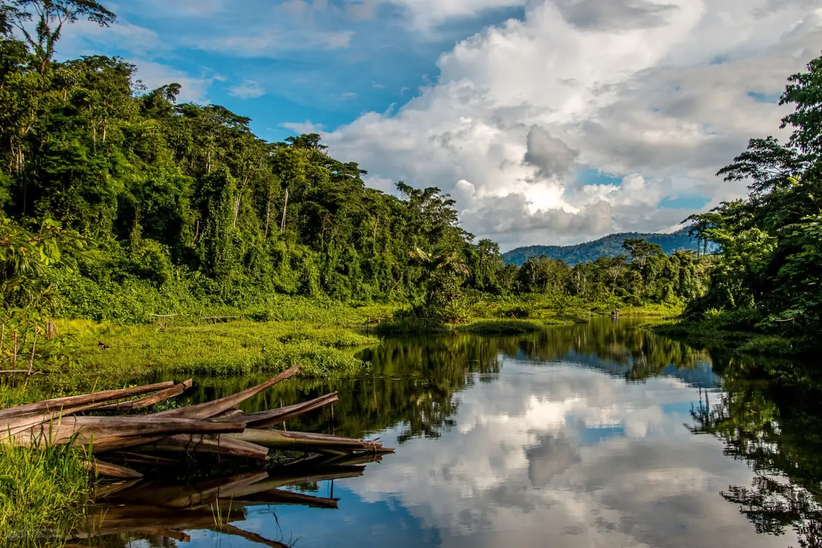A river in Manu National Park