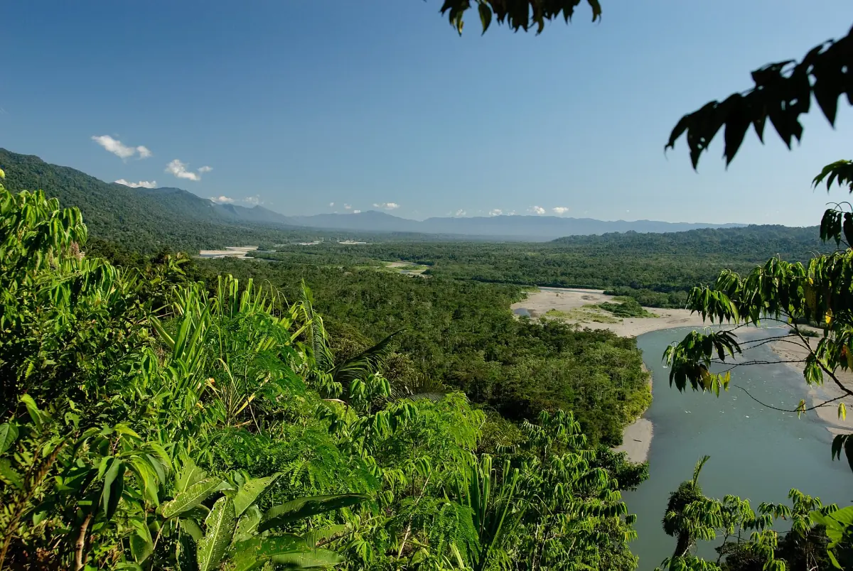 Forest and river in Manu National Park