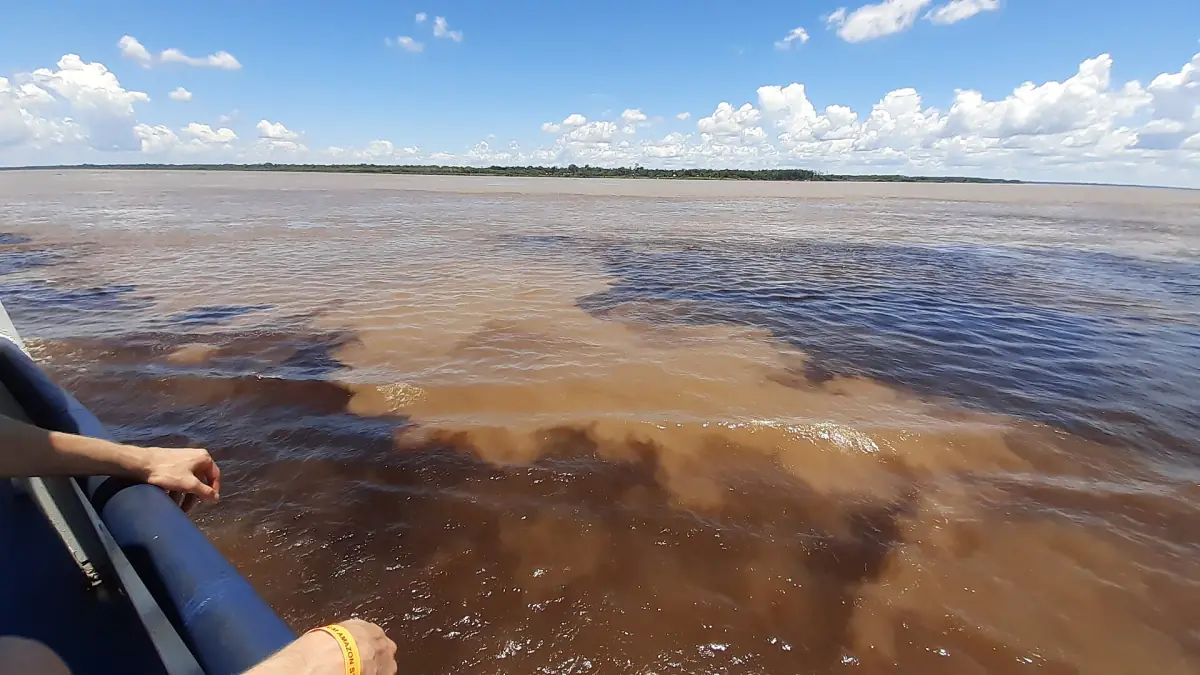 The Meeting of the Waters near Manaus